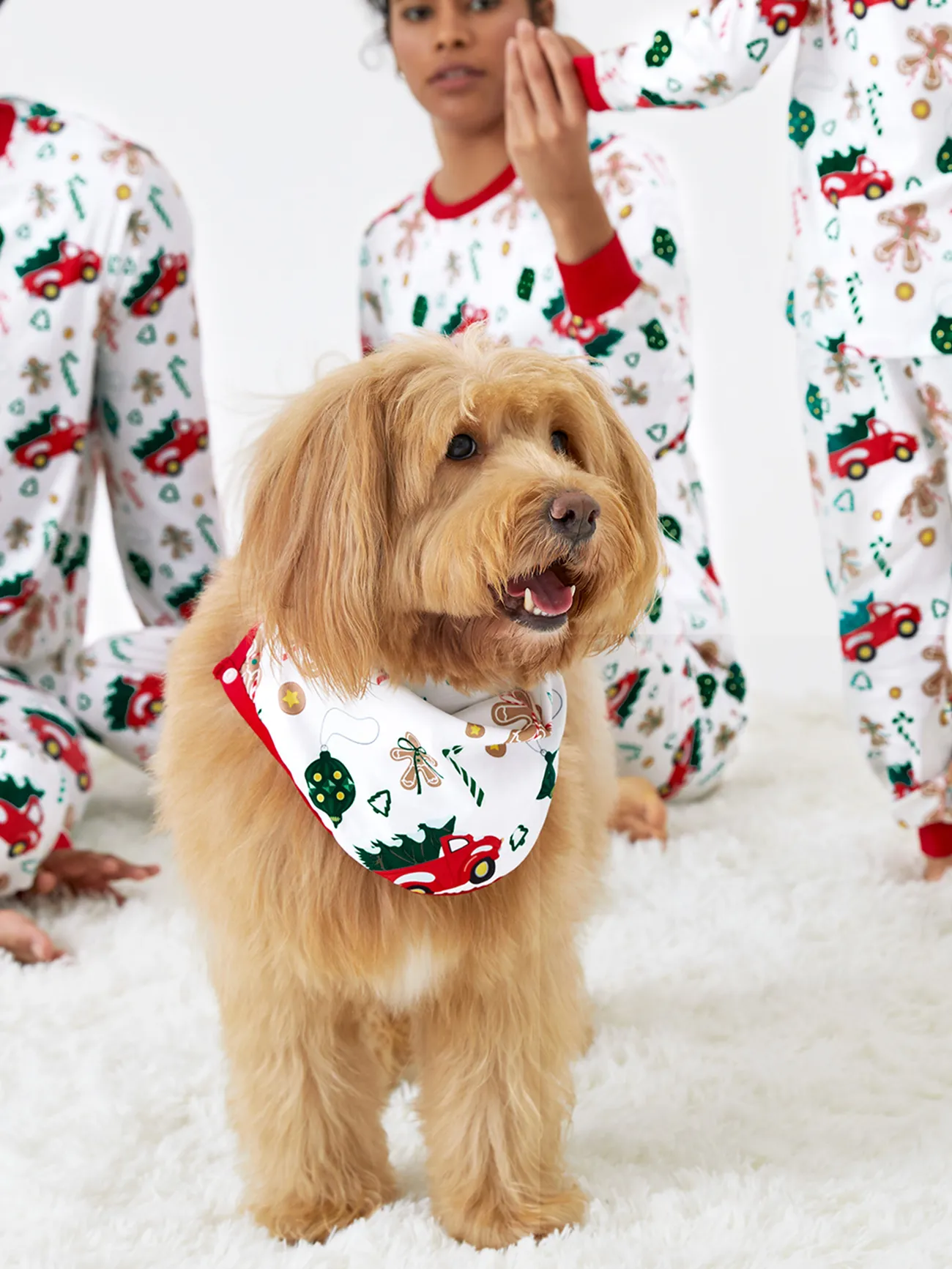 Christmas Family Pajamas Allover Xmas Tree and Gingerbread Man Pattern Matching Collared Sets
Christmas Family Pajamas Allover Xmas Tree and Gingerbread Man Pattern Matching Collared Sets