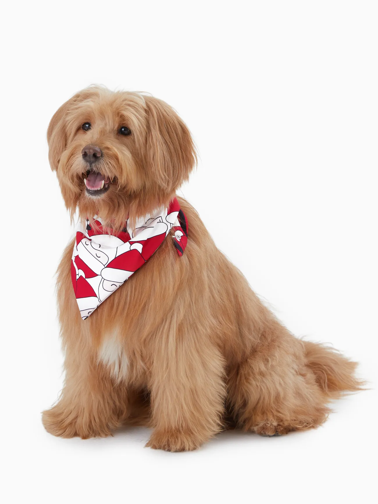 Christmas Family Matching Big Santa Graphic Front Allover Pattern Back Pajamas Sets with Pockets and Drawstring
Christmas Family Matching Big Santa Graphic Front Allover Pattern Back Pajamas Sets with Pockets and Drawstring