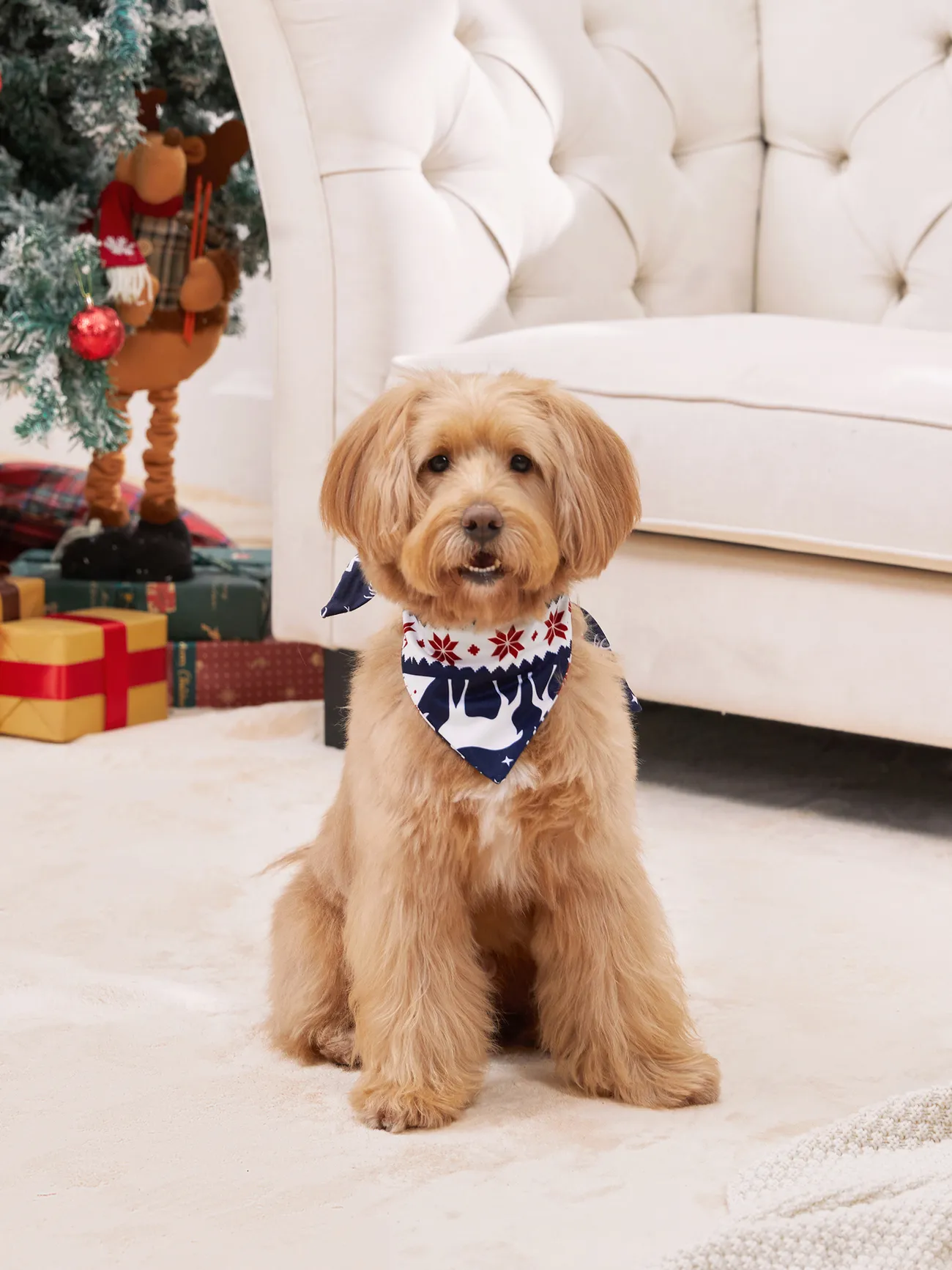 Christmas Pajamas Raglan Sleeves Santa I Can Explain Theme Matching for Family
Christmas Pajamas Raglan Sleeves Santa I Can Explain Theme Matching for Family