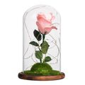 Mini Mother's Day Gifts Home Decorations Glass Cover Rose LED Light Micro Landscape USB Pink