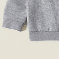 Kid Boy Graphic Lion Print Long-sleeve Pullover Light Grey