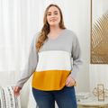 Women Plus Size Casual Colorblock V Neck Long-sleeve Tee Apricot