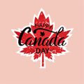 Nursing "Happy Canada Day" Letter & Maple Leaf Print Short-sleeve Tee Pink