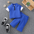 2pcs Toddler Boy Trendy Faux-two Zipper Lapel Collar Waffle Tee and Shorts Set Deep Blue image 1