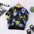 Toddler Boy Trandy Painting Print Colorblock Pullover Sweatshirt Black