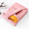 Toddler Girl Sweet Rabbit Embroidered Fleece Lined Leggings Pink image 1