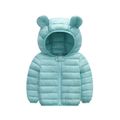 Baby / Toddler Stylish 3D Ear Print Solid Hooded Coat Turquoise image 1