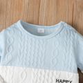 2pcs Toddler Boy Casual Textured Colorblock Sweatshirt and Pants Set Color block image 3
