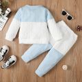 2pcs Toddler Boy Casual Textured Colorblock Sweatshirt and Pants Set Color block image 2