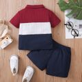2pcs Baby Boy Colorblock Short-sleeve Polo Shirt and Solid Shorts Set Burgundy