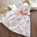 Toddler Girl Pretty Butterfly Print Bowknot Dress Pink