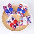 3-pack Toddler/Kid Independence Day Hair Clips Multi-color image 2