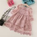 Solid Floral Mesh Splice Long-sleeve Baby Dress Pink image 1