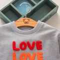 Toddler Girl/Boy 100% Cotton Letter Embroidered Casual Pullover Sweatshirt Grey