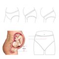 5-pack 100% Cotton Boxed Women Disposable Panties Sterile Underwear for Pregnant Women or Postpartum or Business Travel Hotel Supplies Color-A