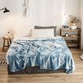 Winter Soft Warm Coral Fleece Bed Blanket Bedspread Sofa Plaid Turquoise