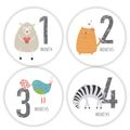 12-pack Baby Monthly Stickers Newborn Monthly Milestone Stickers Self Adhesive Baby Photography Props Background Souvenirs White