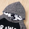 2-piece Baby / Toddler Dinosaur Letter Long-sleeve Hooded Pullover and Pants Set Grey image 5
