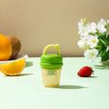 Baby Fruit Feeder | Fresh Food Feeder Pacifier | Silicone Teething Toy Teething Relief Appetite Stimulation for Baby Feeding Light Green image 1