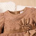 Baby Girl Brown Long-sleeve 3D Flower Decor Embroidered Mesh Party Dress Brown