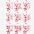 13-pack Rose Gold 1-10 Number Balloons Foil Mylar For Birthday Party,Wedding, Bridal Shower Engagement Photo Shoot, Anniversary Rose Gold