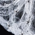 دعائم منزل الرعب المرعبة لشبكات العنكبوت الممتدة للهالوين مع 30 عنكبوتًا مزيفًا لديكورات الهالوين أبيض