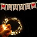 Love and Red Heart Burlap Banner with Warm White Copper Wire Lights Wedding Proposal Engagement Valentine's Day Party Decor Supplies Color-A image 2