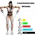 5 Levels Resistance Band Exercise Cord Elastic Muscle Chest Expander Fitness Exercise Band with Handle Multi-color image 2