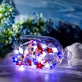 4th of July Decorations Lights 39.37inch 10 LEDs Red White Bule Stars and American Flag String Lights for Independence Day Decor Color-A image 1