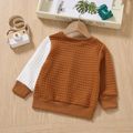 Toddler Boy Dinosaur Pattern Textured Colorblock Pullover Sweatshirt Brown