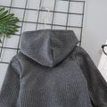 2-piece Toddler Boy Solid Color Hoodie Sweatshirt and Pants Casual Set Grey