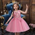 Kid Girl Floral Butterfly Embroidered Sleeveless Princess Party Mesh Dress Cameo brown