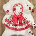 Baby Girl All Over Rosy Floral Print Sleeveless Halter Neck Layered Lace Princess Party Dress Rosy image 1