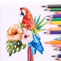12/18/24/36/48 لونًا للرسم أقلام ملونة خالية من الخشب أقلام تلوين للأطفال البالغين رسم تلوين للرسم متعدد الألوان