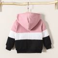 Toddler Girl/Boy Trendy Colorblock Textured Hooded Jacket MultiColour image 2