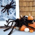decorações de aranha peluda realista de halloween tamanho diferente adereços de aranha falsa decorações de festa Preto