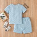 2pcs Toddler Boy Basic Textured Short-sleeve Henley Shirt and Shorts Set Sky blue