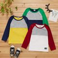 Kid Boy Long Raglan Sleeve Colorblock Letter Number Embroidery Casual T-shirt Burgundy