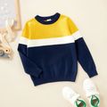 Toddler Girl Colorblock Casual Knit Sweatshirt Ginger