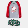 Christmas Santa Claus and Letter Print Color Block Family Matching Raglan Long-sleeve Pajamas Sets (Flame Resistant) Multi-color