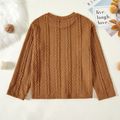 Kid Girl Casual Solid Color Cable Knit Sweater Brown