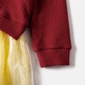 Harry Potter Toddler Girl Colorblock Long-sleeve Mesh Dress Burgundy