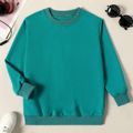 Kid Boy/Kid Girl Casual Solid Color Pullover Sweatshirt Turquoise image 1