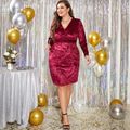 Women Plus Size Elegant Surplice Neck Party Velvet Dress Red