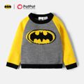 Batman Toddler Boy Yellow Grey Batman Logo Color Block Print Sweater Grey