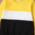 2-piece Kid Boy Colorblock Pullover Sweatshirt and Elasticized Pants Casual Set Yellow