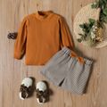 2-piece Toddler Girl Mock Neck Long-sleeve Ribbed Brown Top and Bowknot Design Elasticized Plaid Shorts Set Brown