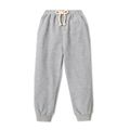 Toddler Boy Solid Color Casual Joggers Pants Sporty Sweatpants Light Grey image 1