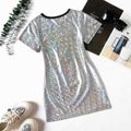 Kid Girl Characters Floral Embroidered Metallic Short-sleeve Dress Multi-color