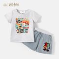 Harry Potter 2-piece Toddler Boy Graphic Tee and Shorts Set Grey